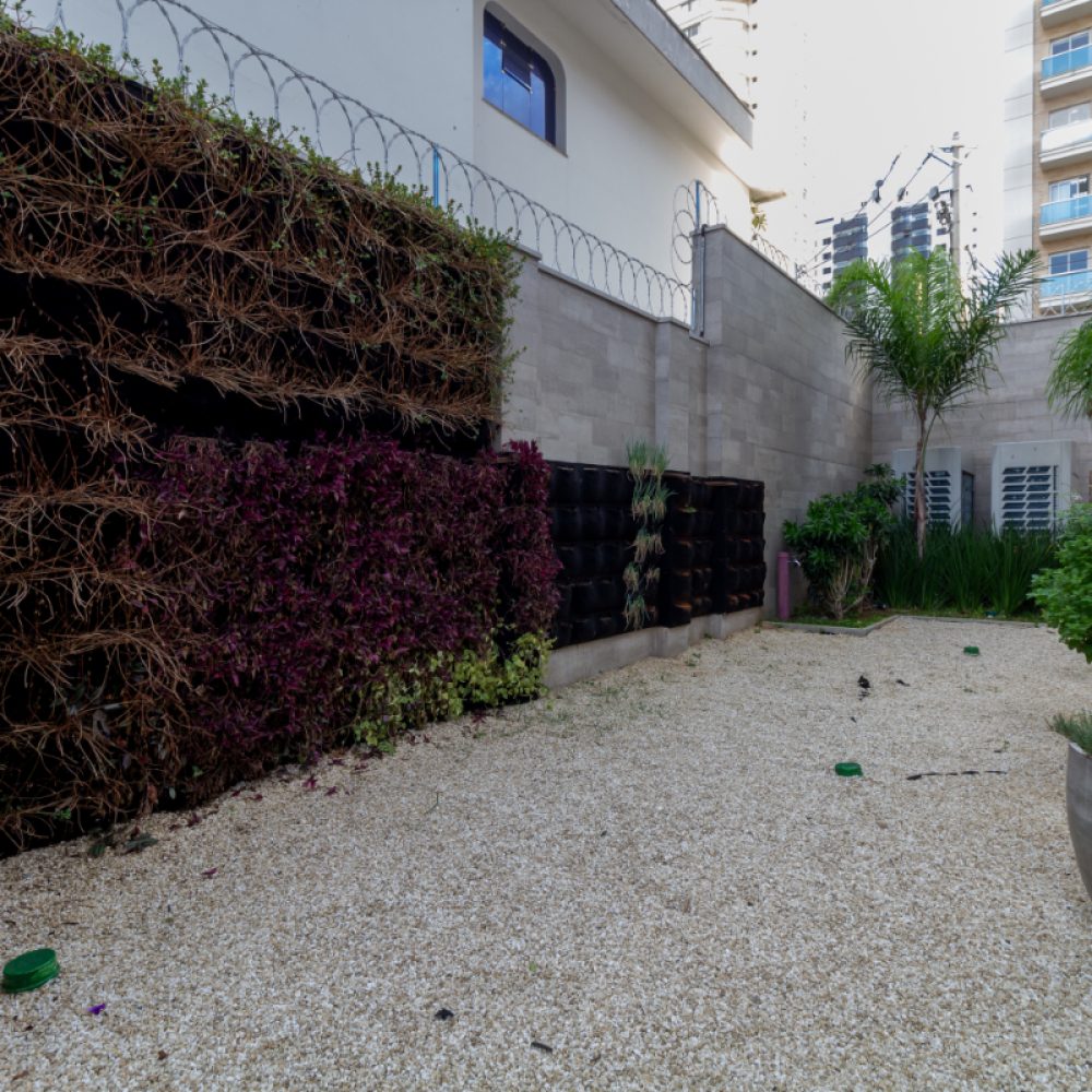 1746212554479-31_20horta