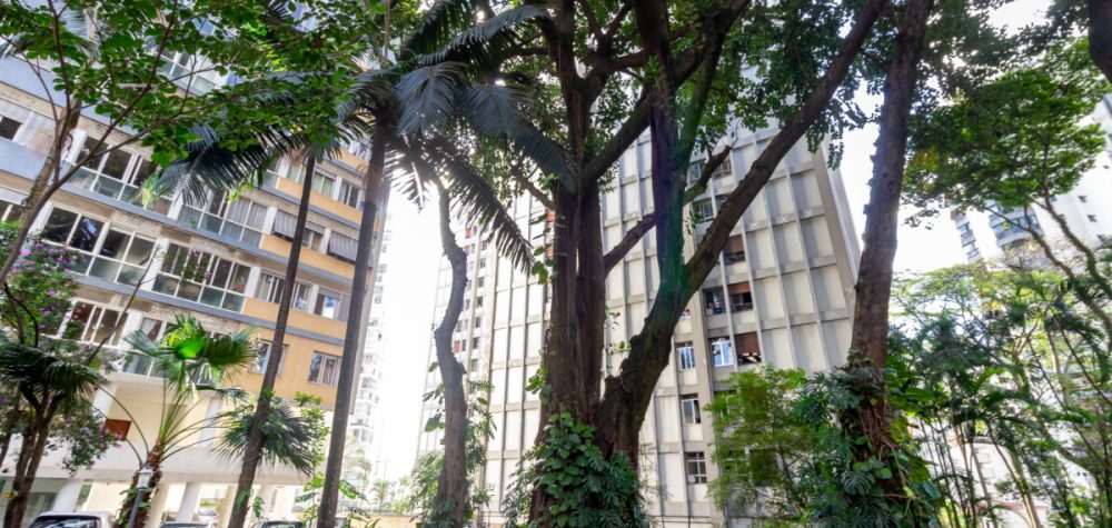 1747162201328-20_20jardim_20_3_