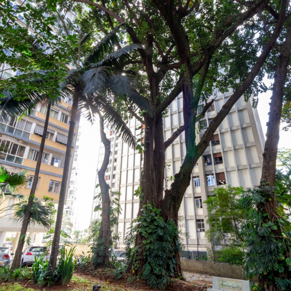 1747162201328-20_20jardim_20_3_