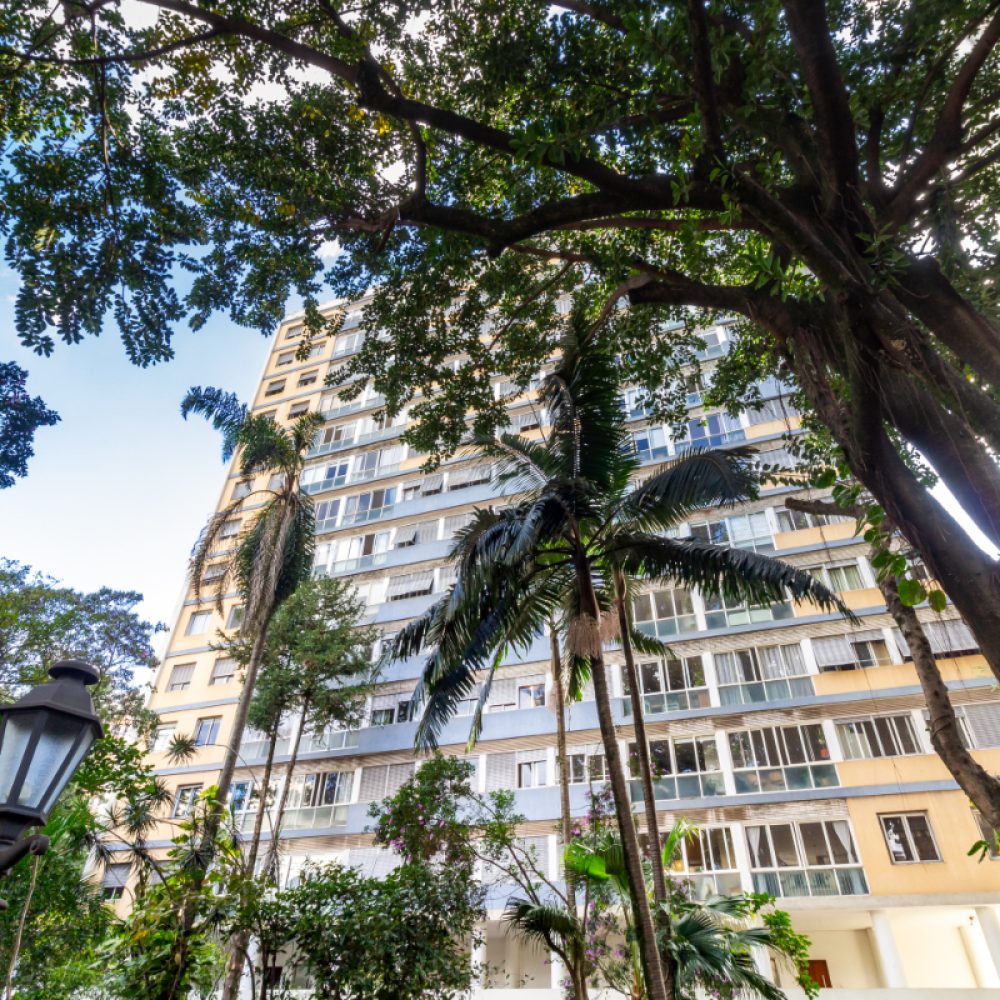 1747162201406-20_20jardim_20_4_