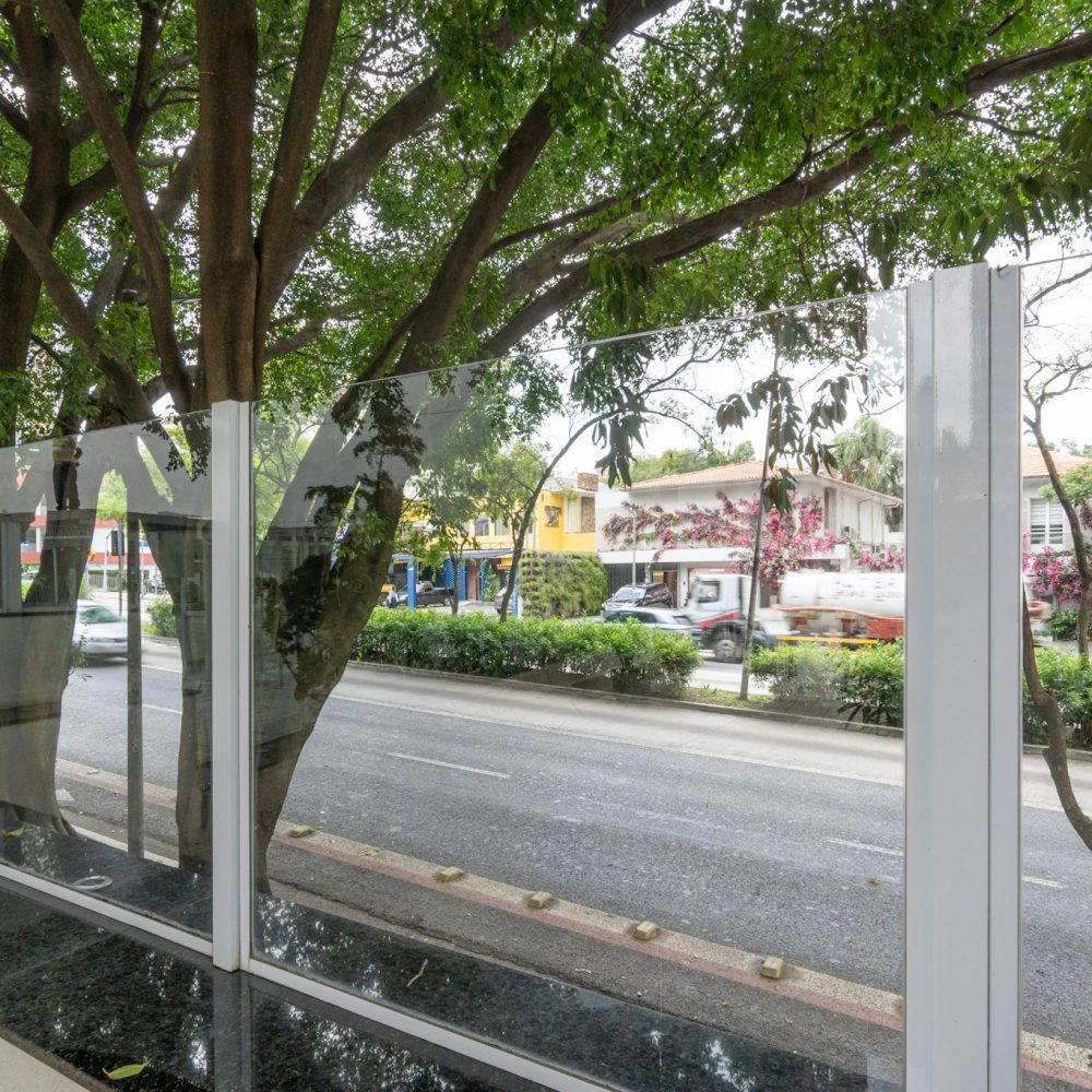 3-DSC05815